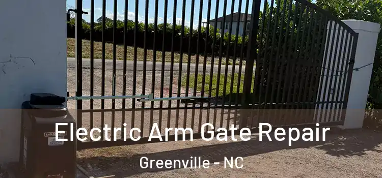  Electric Arm Gate Repair Greenville - NC