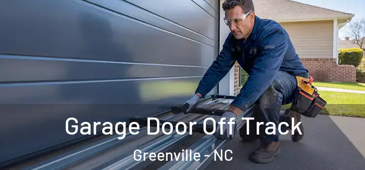  Garage Door Off Track Greenville - NC