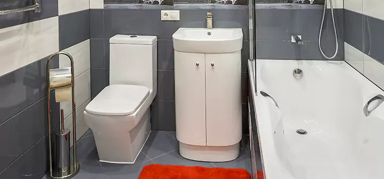 Hansgrohe Shaving Mirror Greenville