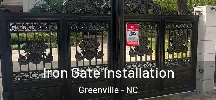 Iron Gate Installation Greenville - NC
