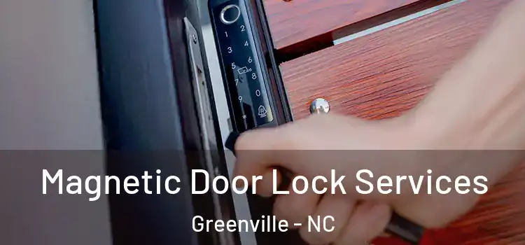 Magnetic Door Lock Services Greenville - NC