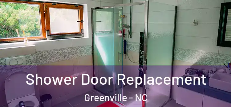  Shower Door Replacement Greenville - NC