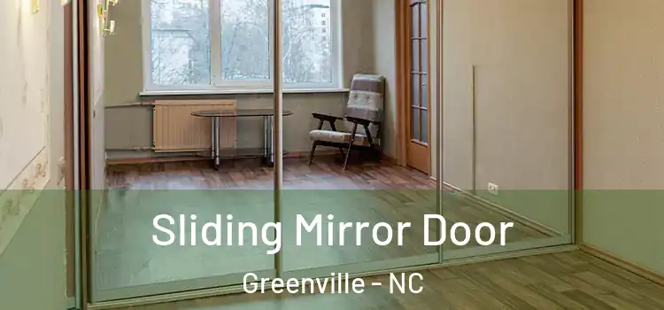  Sliding Mirror Door Greenville - NC