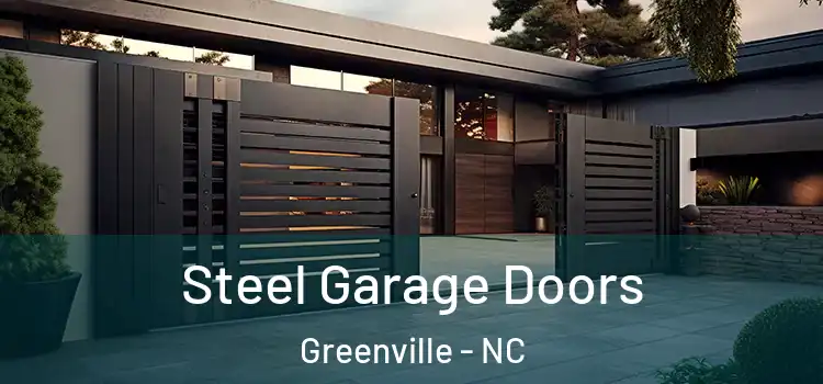 Steel Garage Doors Greenville - NC